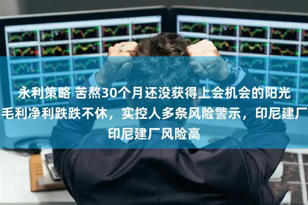 永利策略 苦熬30个月还没获得上会机会的阳光焦化：毛利净利跌跌不休，实控人多条风险警示，印尼建厂风险高