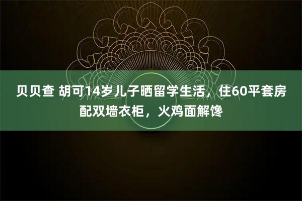 贝贝查 胡可14岁儿子晒留学生活，住60平套房配双墙衣柜，火鸡面解馋