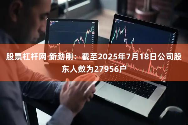 股票杠杆网 新劲刚：截至2025年7月18日公司股东人数为27956户