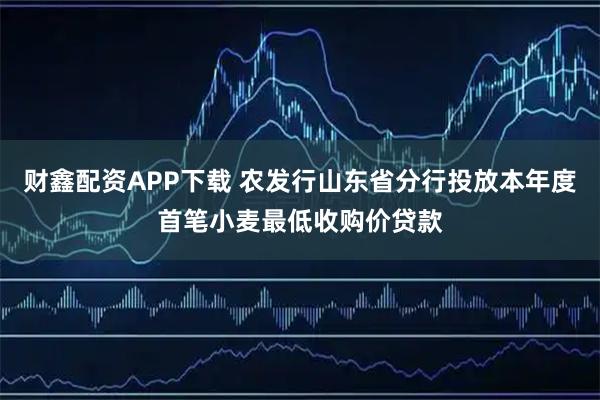 财鑫配资APP下载 农发行山东省分行投放本年度首笔小麦最低收购价贷款